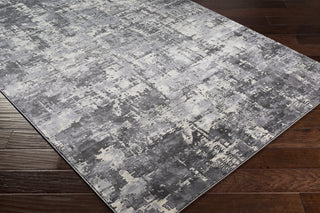 Surya Pune PUN-2304 Area Rug