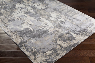 Surya Pune PUN-2305 Area Rug