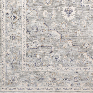 Livabliss Palazzo PZL-2300 Area Rug