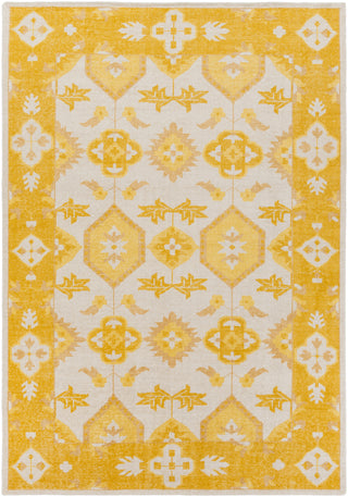 Surya Pazar PZR-6007 Area Rug