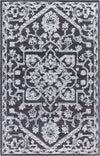 Surya Piazza PZZ-2302 Area Rug main image