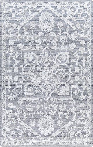 Surya Piazza PZZ-2303 Area Rug main image