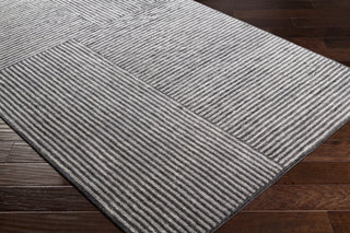 Surya Quartz QTZ-5038 Area Rug  Feature