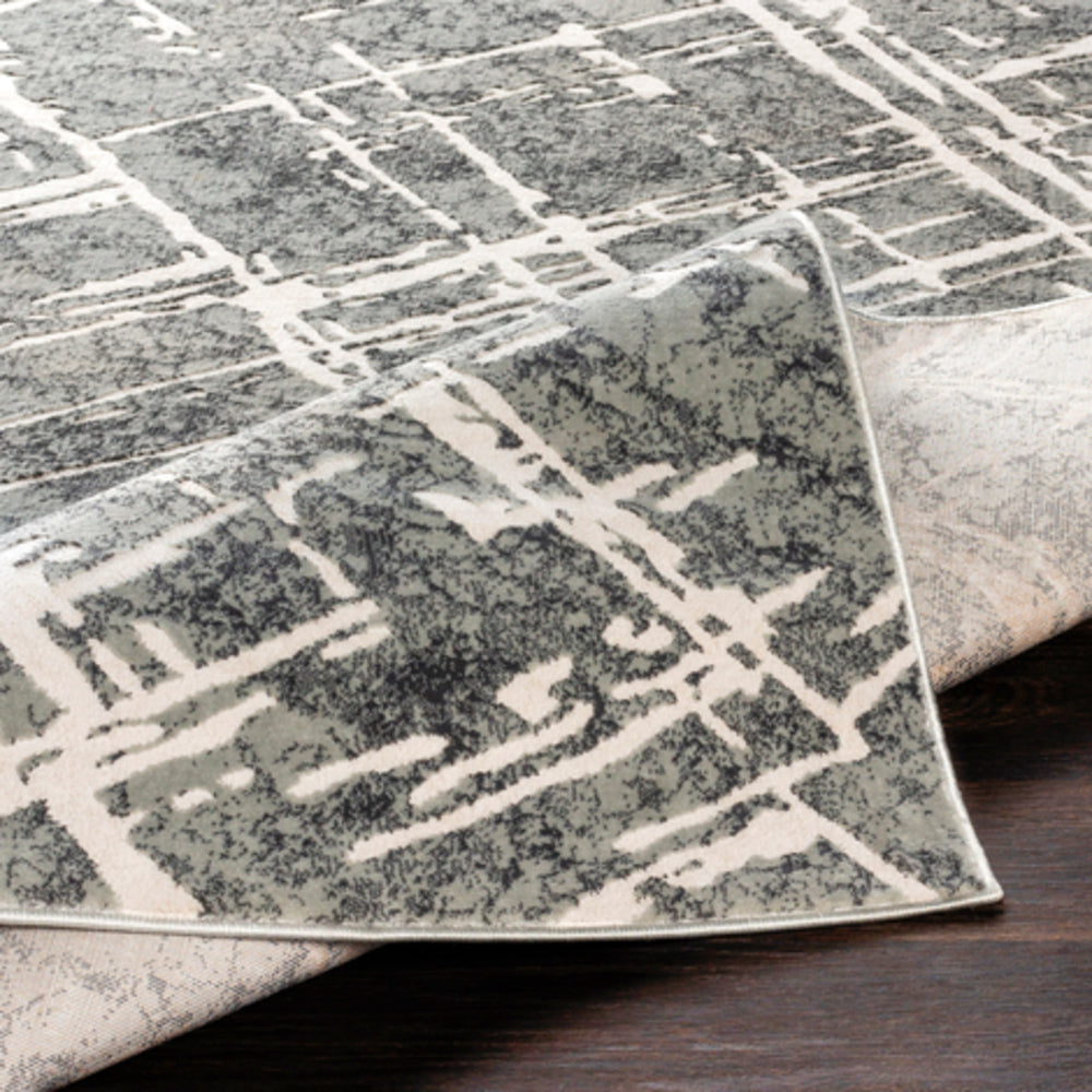 Surya Quatro QUA2305 Area Rug Incredible Rugs and Decor