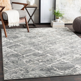 Surya Quatro QUA-2305 Area Rug Room Scene Feature