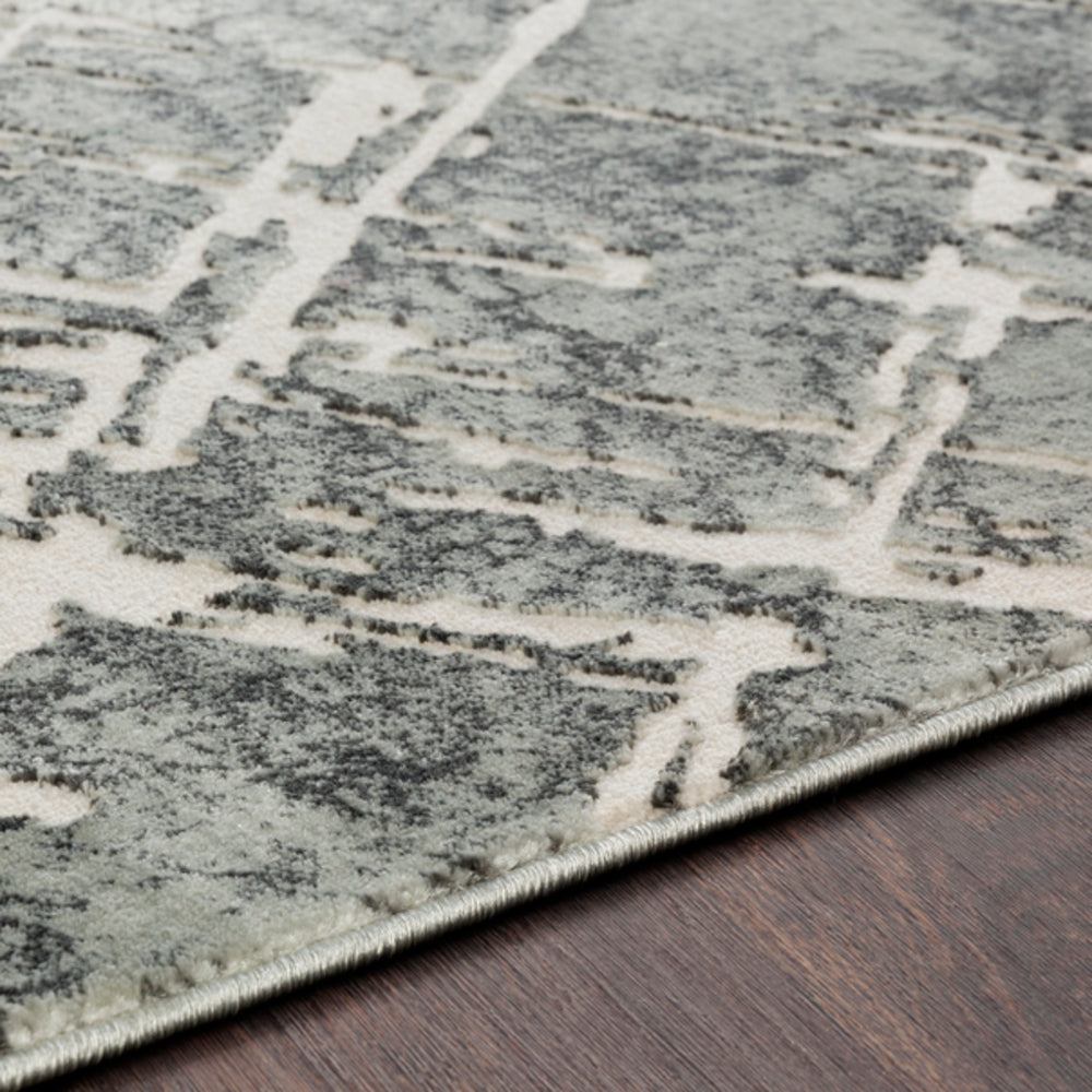 Surya Quatro QUA2305 Area Rug Incredible Rugs and Decor