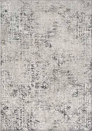 Surya Quatro QUA-2309 Silver Gray Charcoal Medium Beige White Area Rug Mirror main image