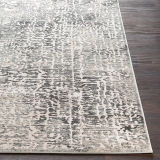 Surya Quatro QUA-2309 Area Rug 