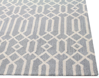 Bashian Rajapur R121-BN34 Grey Area Rug Alternate Shot Feature