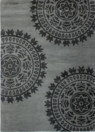 Bashian Rajapur R121-BN43 Grey Area Rug main image