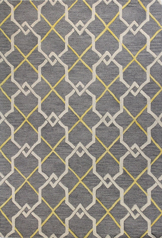 Bashian Rajapur R121-CAL913 Grey Area Rug main image