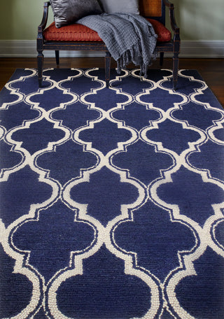 Bashian Rajapur R121-CAL918 Navy Area Rug Room Scene Feature