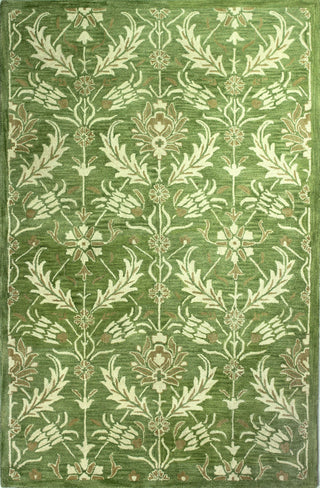 Bashian Rajput R122-RJ169 Light Green Area Rug main image