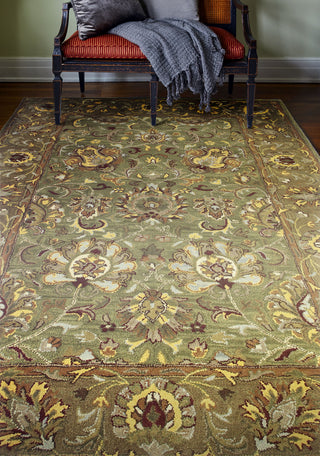 Bashian Wilshire R128-HG117 Light Green Area Rug Room Scene Feature