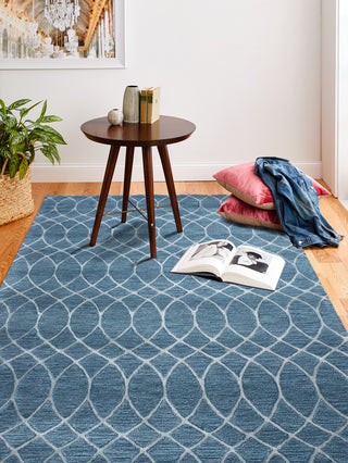 Bashian Greenwich R129-HG300 Area Rug Room Scene Feature