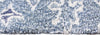 Bashian Greenwich R129-HG357 Blue Area Rug