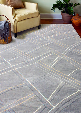 Bashian Greenwich R129-HG351 Grey Area Rug