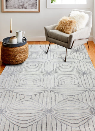 Bashian Greenwich R129-HG358 Grey Area Rug