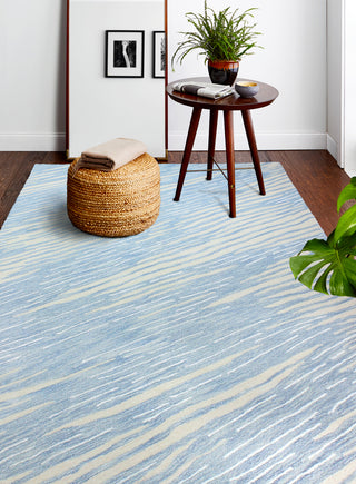 Bashian Greenwich R129-HG367 Light Blue Area Rug