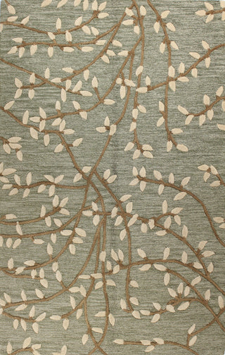 Bashian Verona R130-LC107 Light Green Area Rug