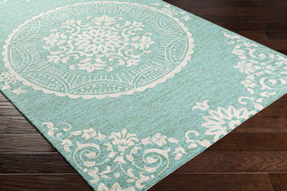 Surya Rain RAI-1284 Area Rug
