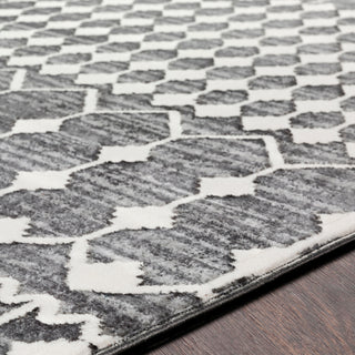 Surya Rabat RBT-2309 Area Rug Detail