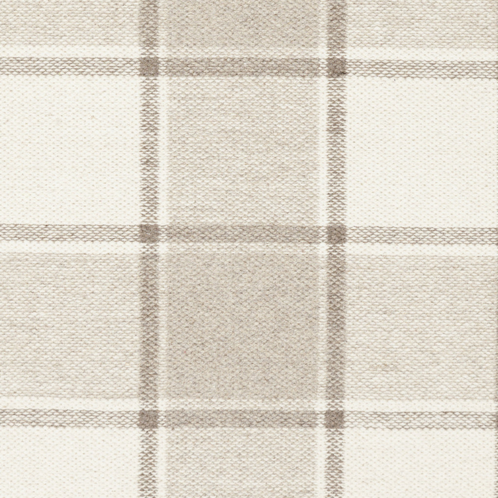 Surya Rockford RCF-8001 Taupe Hand Woven Area Rug Sample Swatch