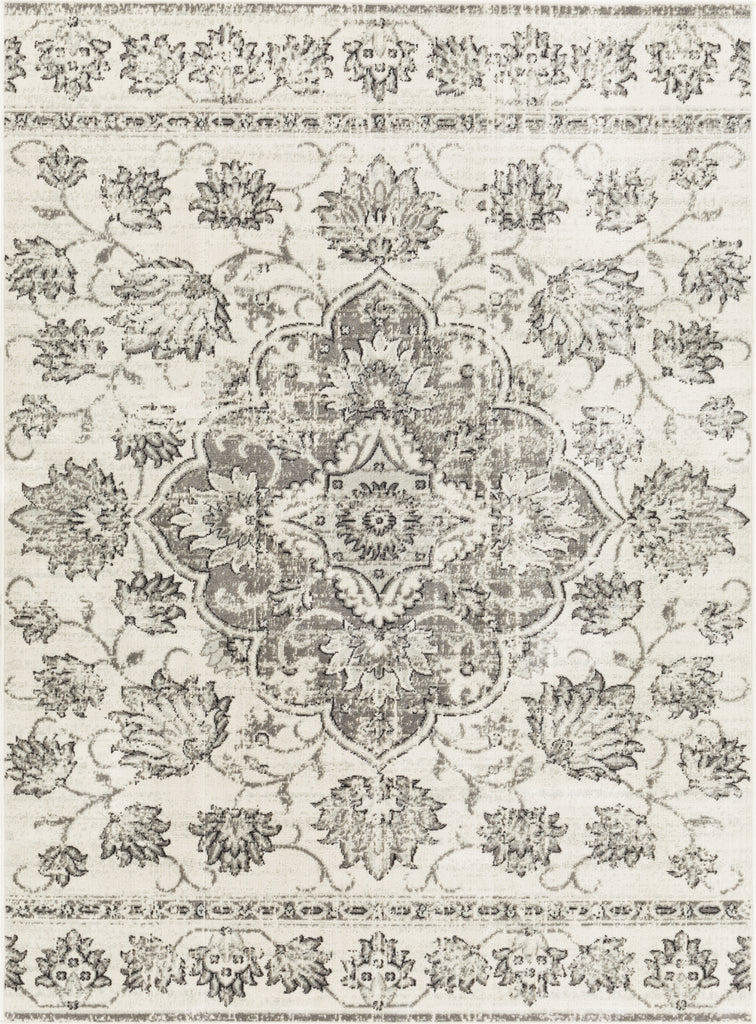 Surya Redondo Beach RDD-2313 Area Rug main image