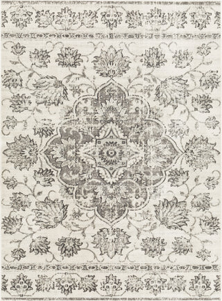 Surya Redondo Beach RDD-2313 Area Rug main image