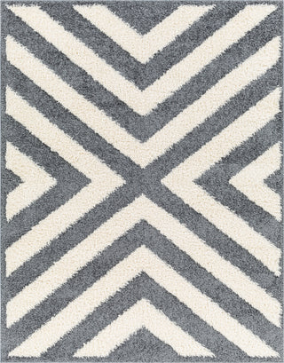 Surya Rodos RDO-2309 Area Rug main image