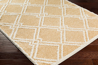 Surya Rodos RDO-2314 Area Rug Corner Shot