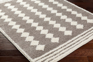 Surya Rodos RDO-2320 Area Rug Corner Shot