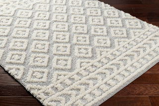 Surya Rodos RDO-2338 Area Rug Corner Shot