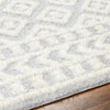 Surya Rodos RDO-2338 Area Rug Detail