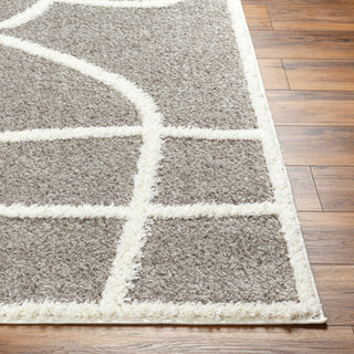 Surya Rodos RDO-2339 Area Rug Angle