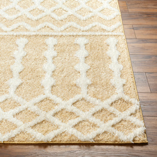 Surya Rodos RDO-2345 Area Rug Angle