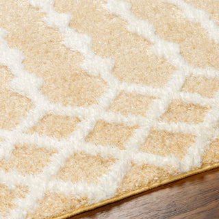 Surya Rodos RDO-2345 Area Rug Detail