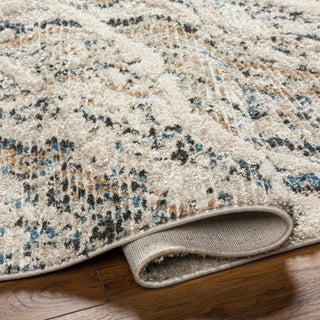 Surya Rudy RDY-2302 Area Rug 