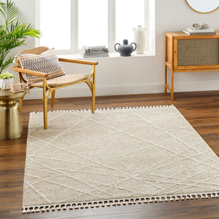 Surya Rudy RDY-2307 Area Rug 