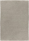 Reef REE-2000 Gray Area Rug by Surya 5' X 7'6''