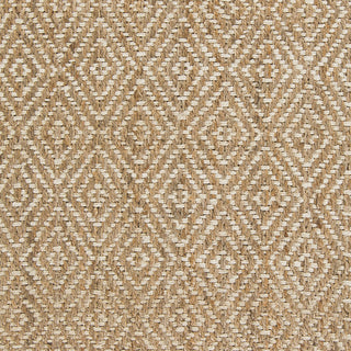 Surya Reeds REED-807 Beige Area Rug Sample Swatch