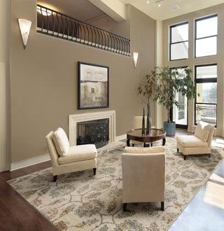 KAS Reflections 7426 Sand Kashia Area Rug Main Image Feature