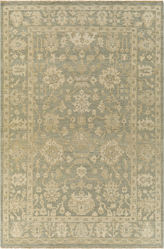 Surya Reign REG-2306 Area Rug main image