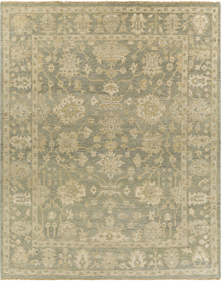 Surya Reign REG-2306 Area Rug Main