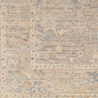 Surya Reign REG-2322 Area Rug Swatch