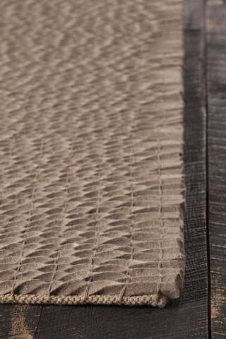 Chandra Renea REN-40102 Taupe Area Rug Corner Shot