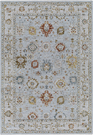 Surya Reina REN-2306 Area Rug main image