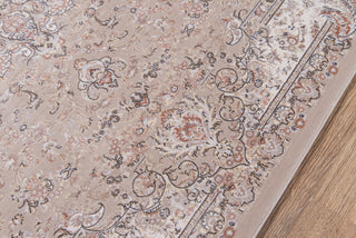 Momeni Renaissance REN-1 Taupe Area Rug Corner Shot