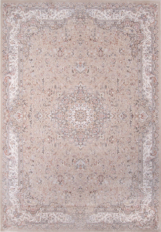 Momeni Renaissance REN-1 Taupe Area Rug main image