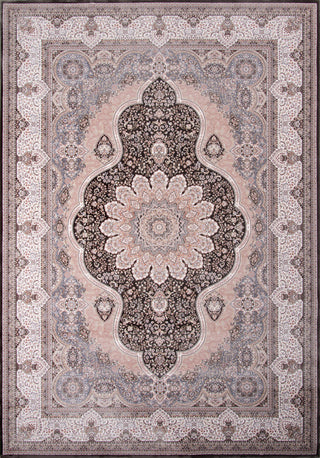 Momeni Renaissance REN-2 Charcoal Area Rug main image